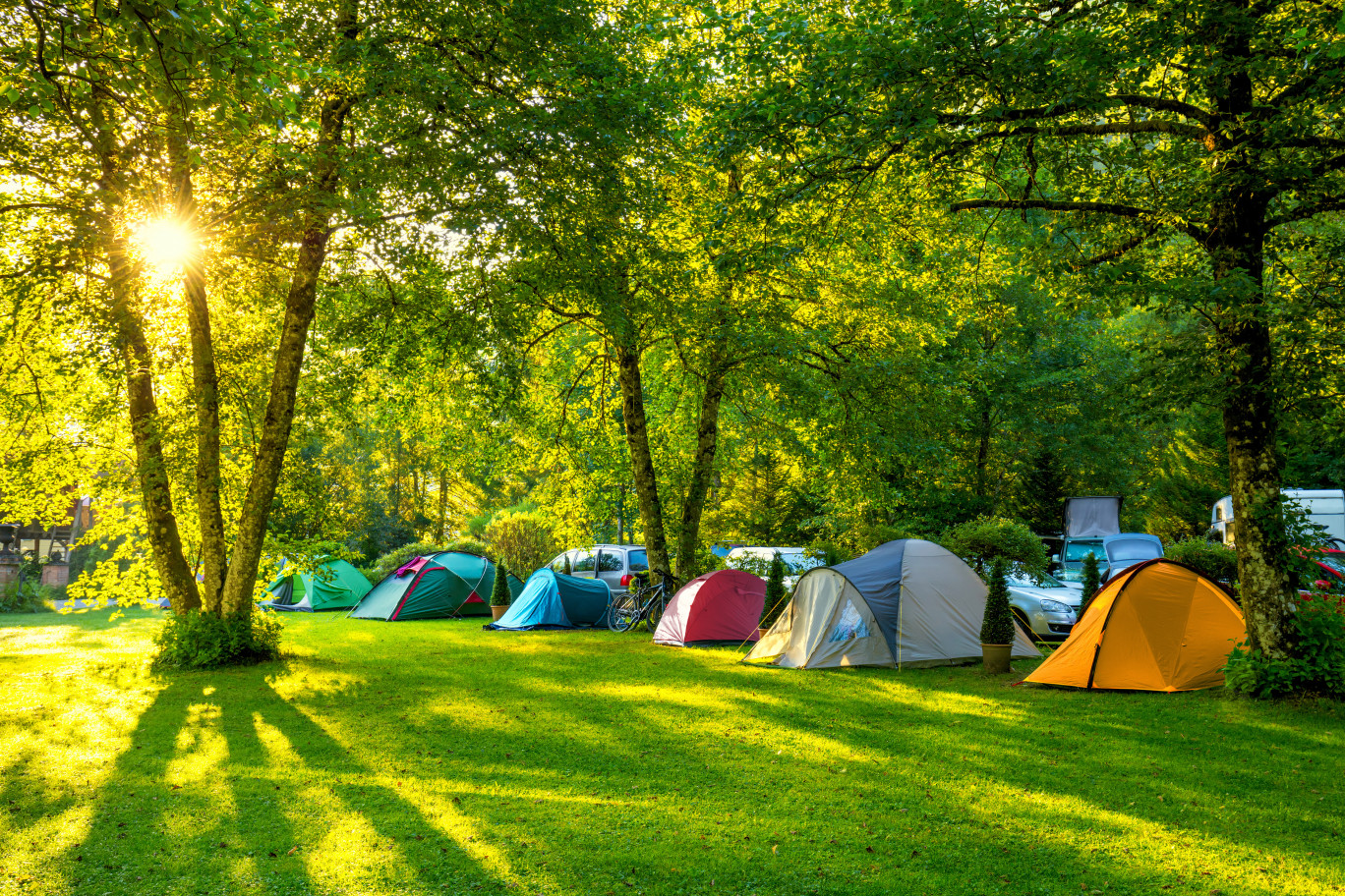 Les campings passent au vert  La Gazette Nord-Pas de Calais