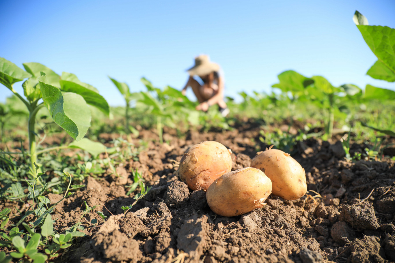 160 agriculteurs devraient ainsi être sensibilisés d’ici fin 2022. Crédit Adobe Stock