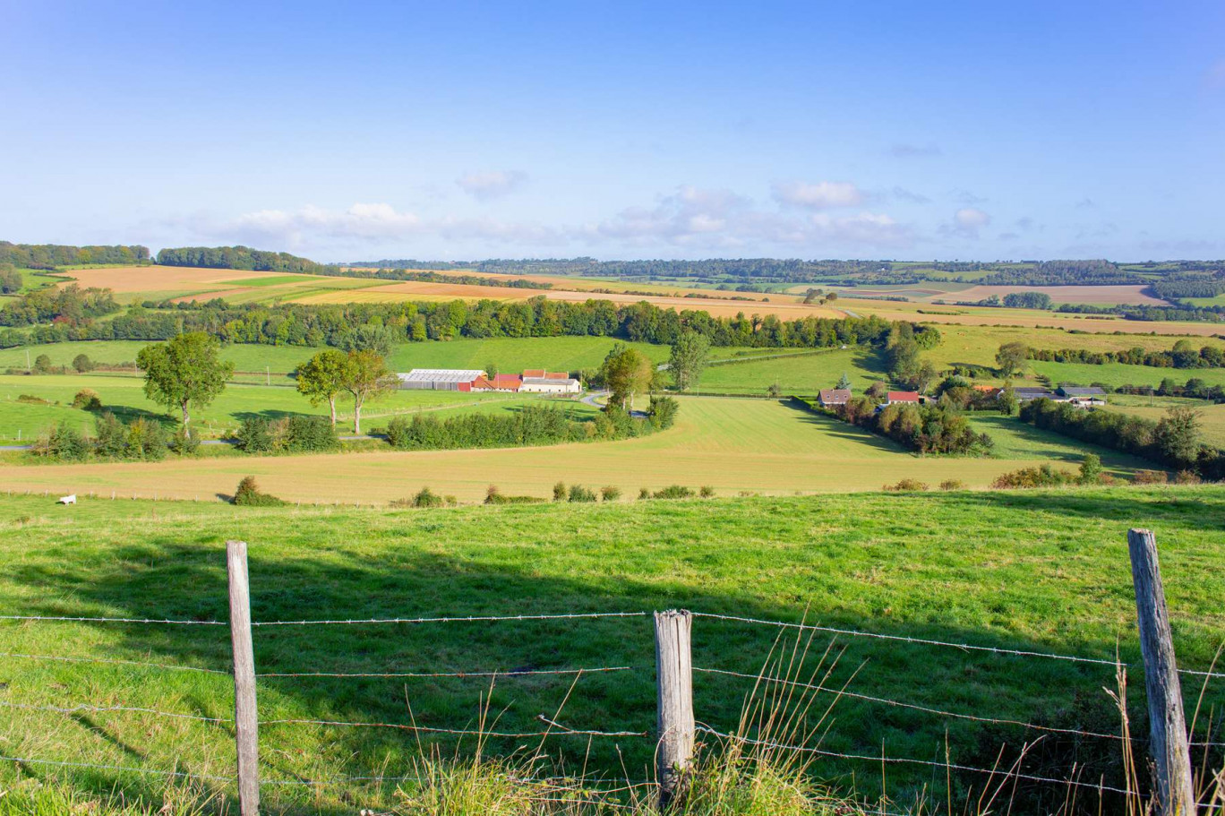 Le parc naturel régional des Caps et Marais d'Opale a été sélectionné pour le soutien des activités d’accompagnement à la plantation. © traveller70