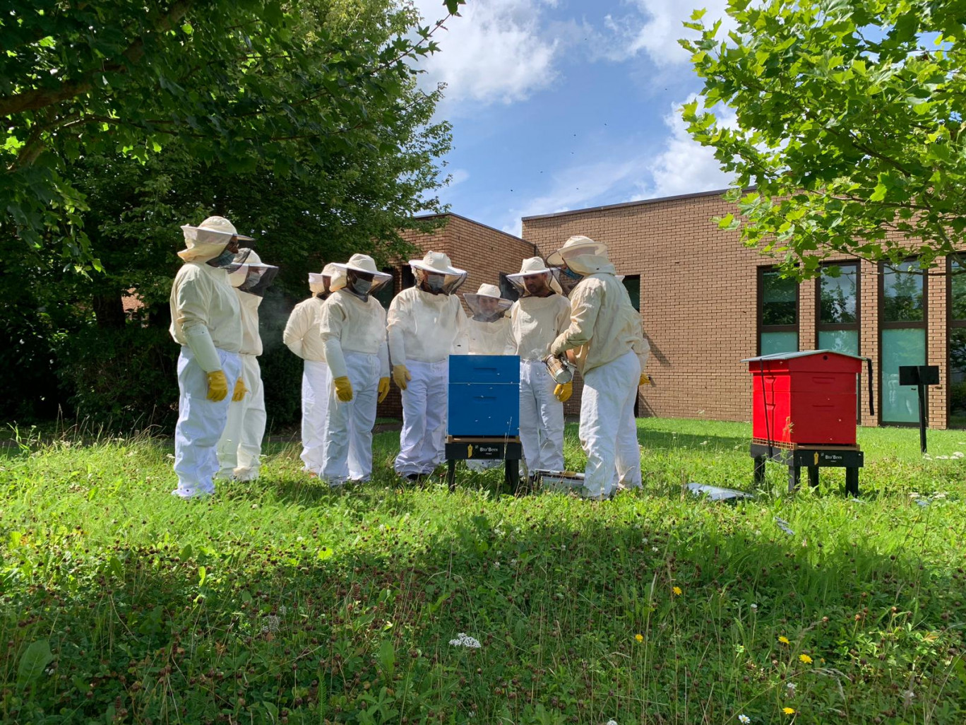 RTE produit son propre miel à Béthune