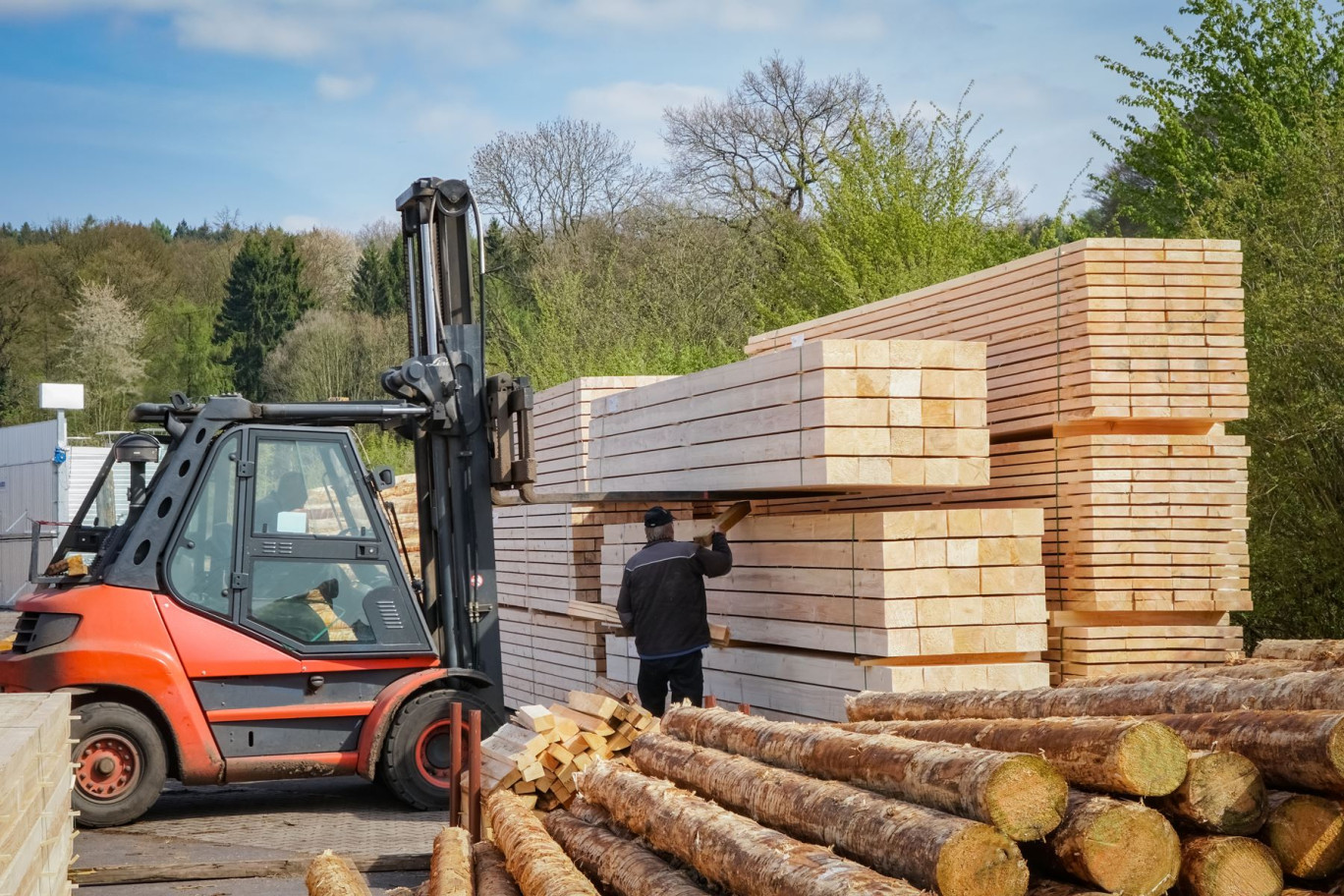 La filière du bois cumule 450 000 emplois, dont 395 000 directs. © Countrypixel