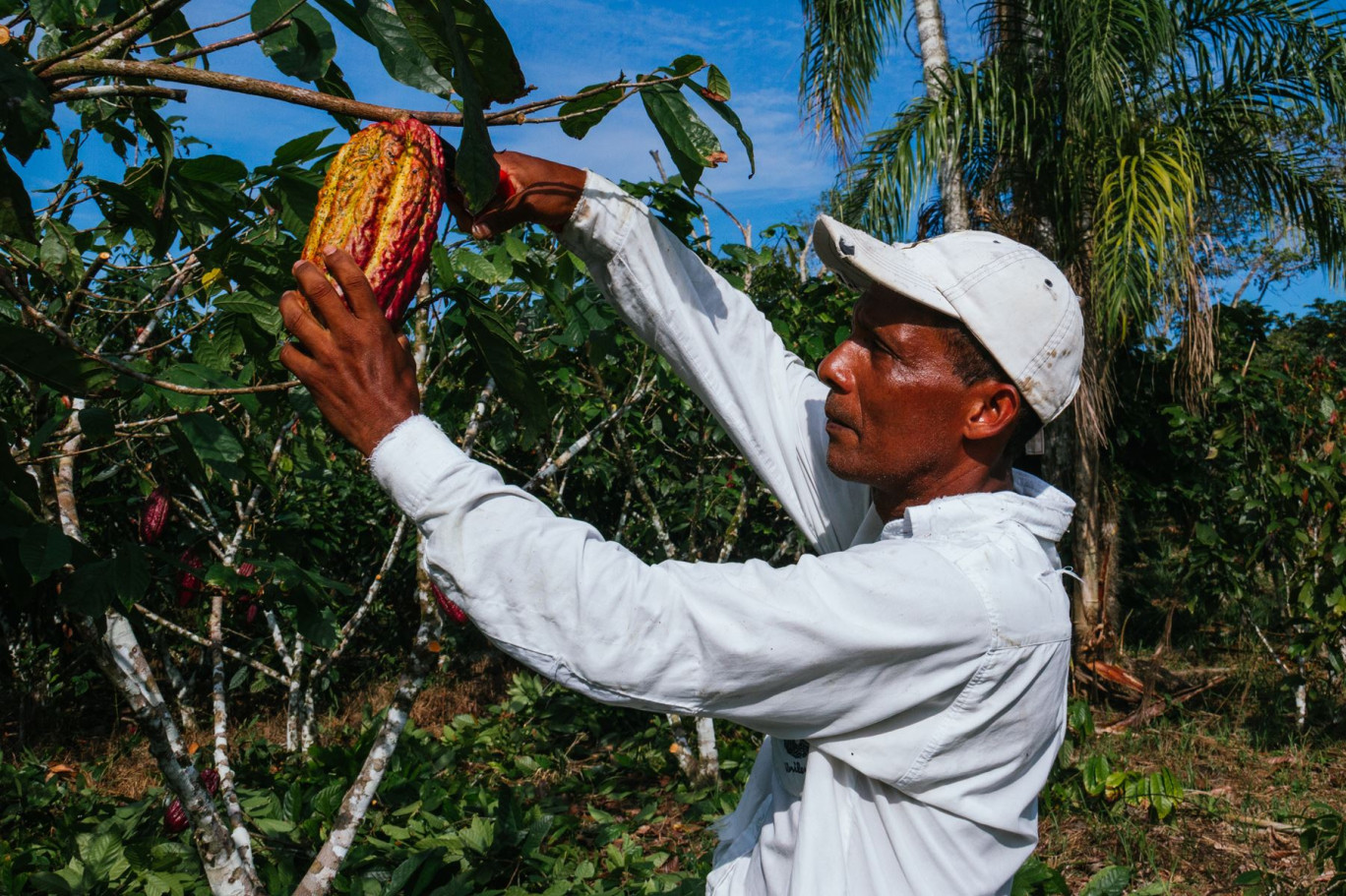 Le principe du commerce équitable est de proposer des produits achetés à un prix qui garantit aux producteurs une juste rémunération, dans une démarche qui inclut aussi des critères environnementaux. © Carlos