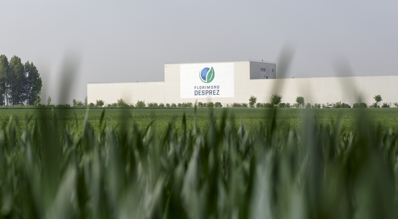 Obtenteurs de variétés et de producteurs de semences, le Groupe Florimond Desprez est l’un des leaders mondiaux de la semence de betterave sucrière.