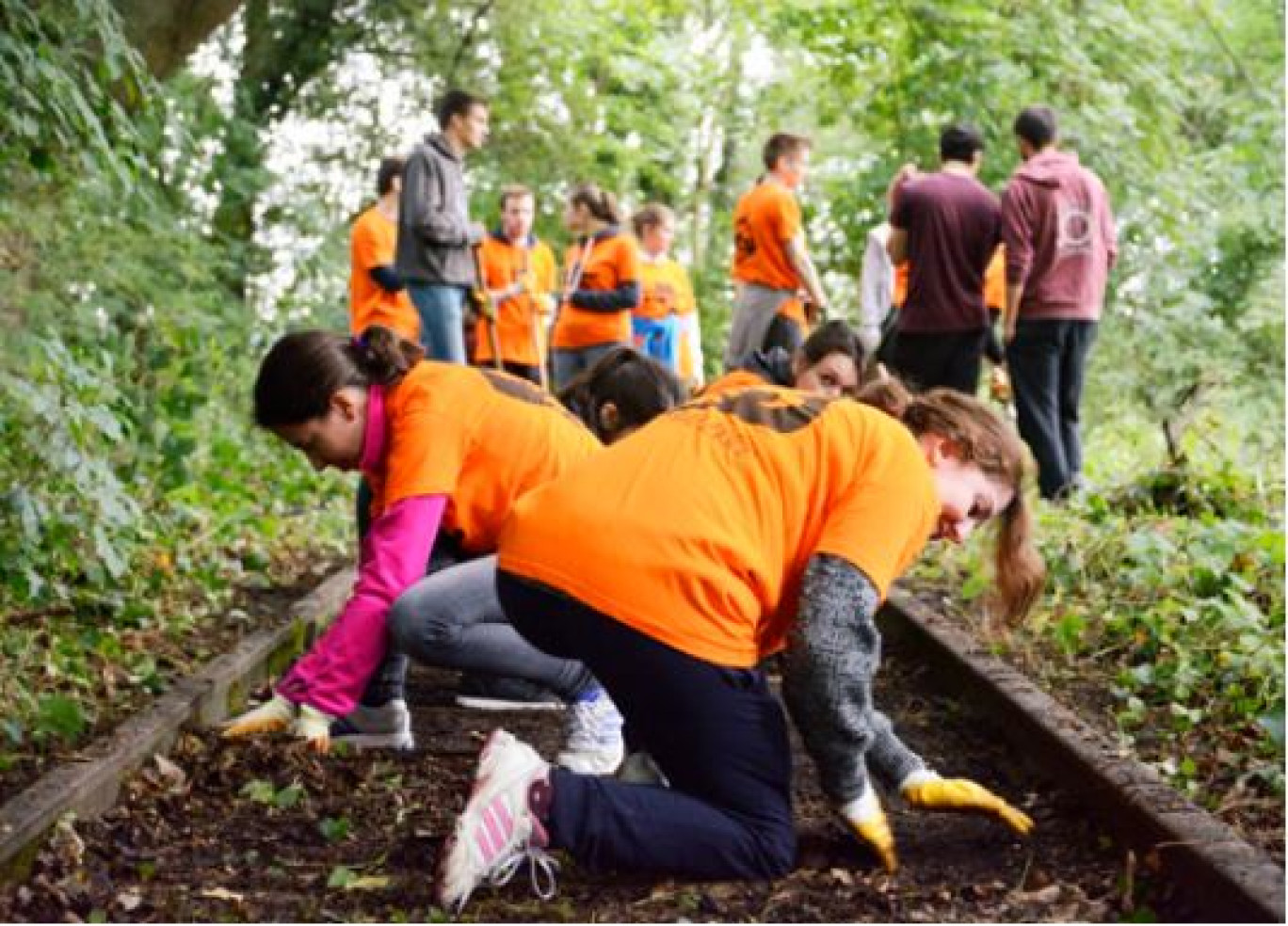 L’association Noeux Environnement récompensée