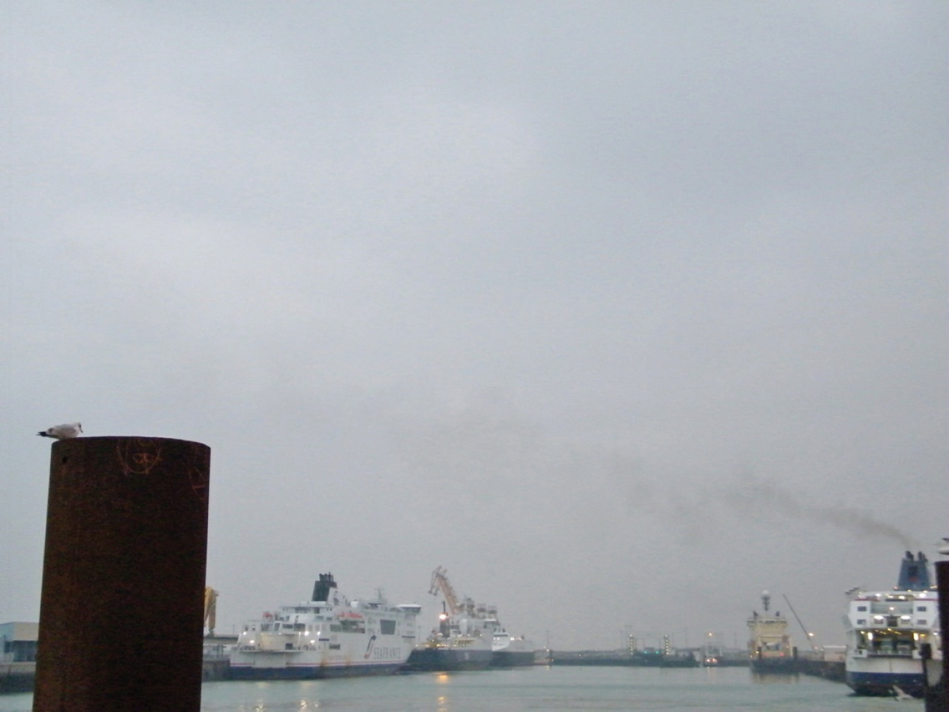 Dans le port de Calais, SeaFrance est toujours à quai.