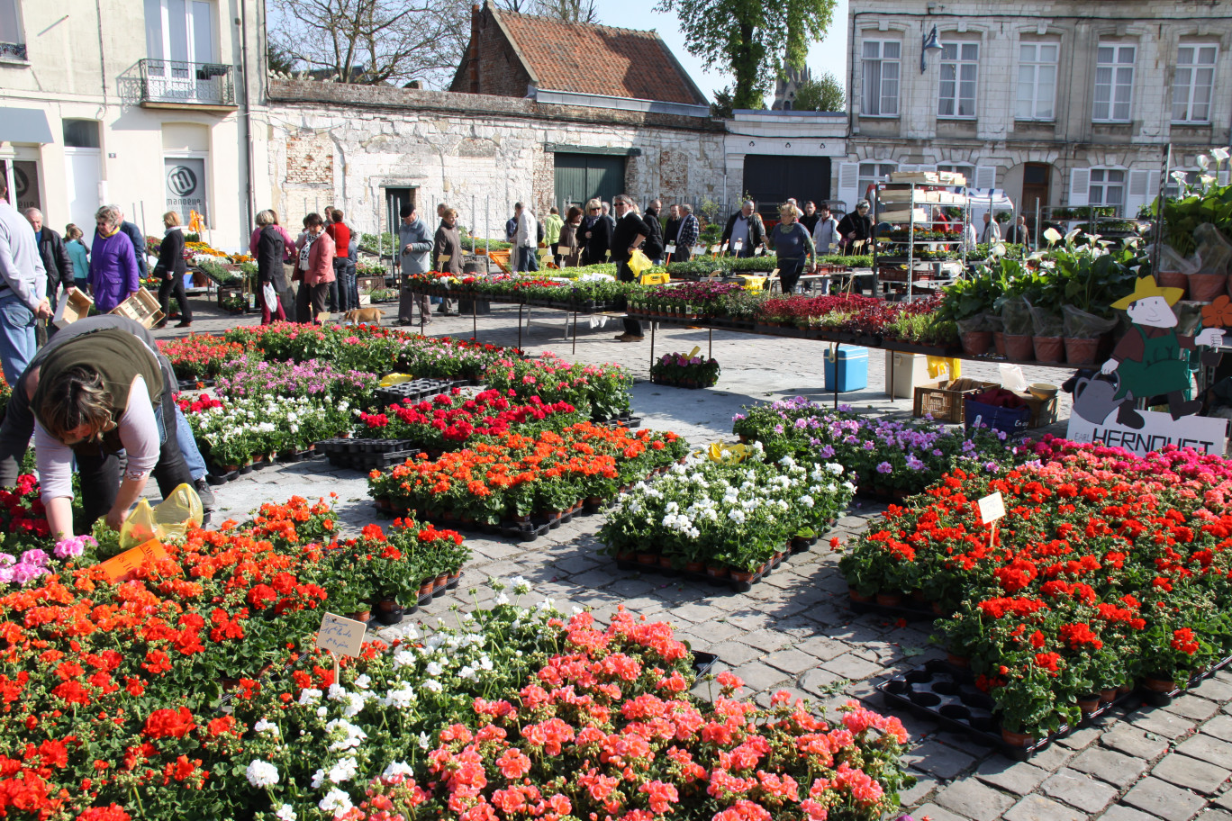 Le marché aux fleurs sur la place Victor-Hugo à Arras