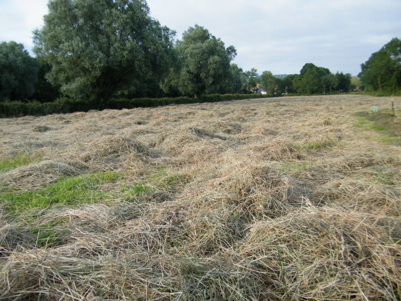 « Prix du lait, climat, réglementation, les agriculteurs encaissent les coups depuis plusieurs mois ».