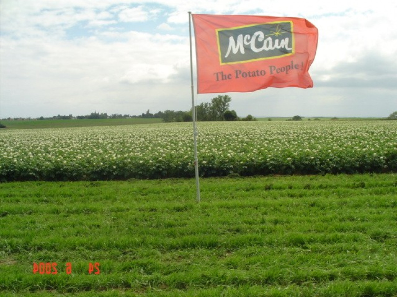 McCain a la frite pour le Nord-Pas-de-Calais