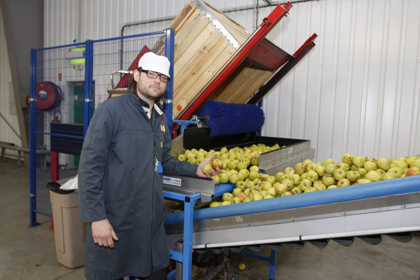 David Varras codirigeant de l'entreprise T &amp; B Verger nous explique comment sont sélectionnées les pommes et les poires avant d'être conditionnées et acheminées vers la grande distribution.