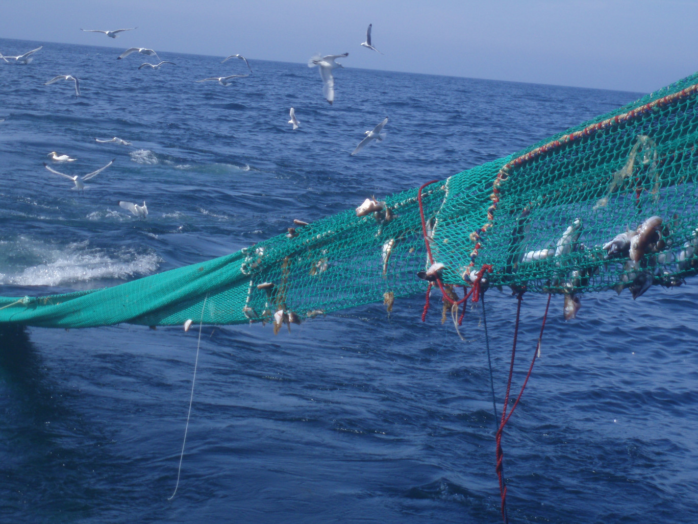 Des essais en mer ont été menés sur les chalutiers étaplois Saint-Nicolas et