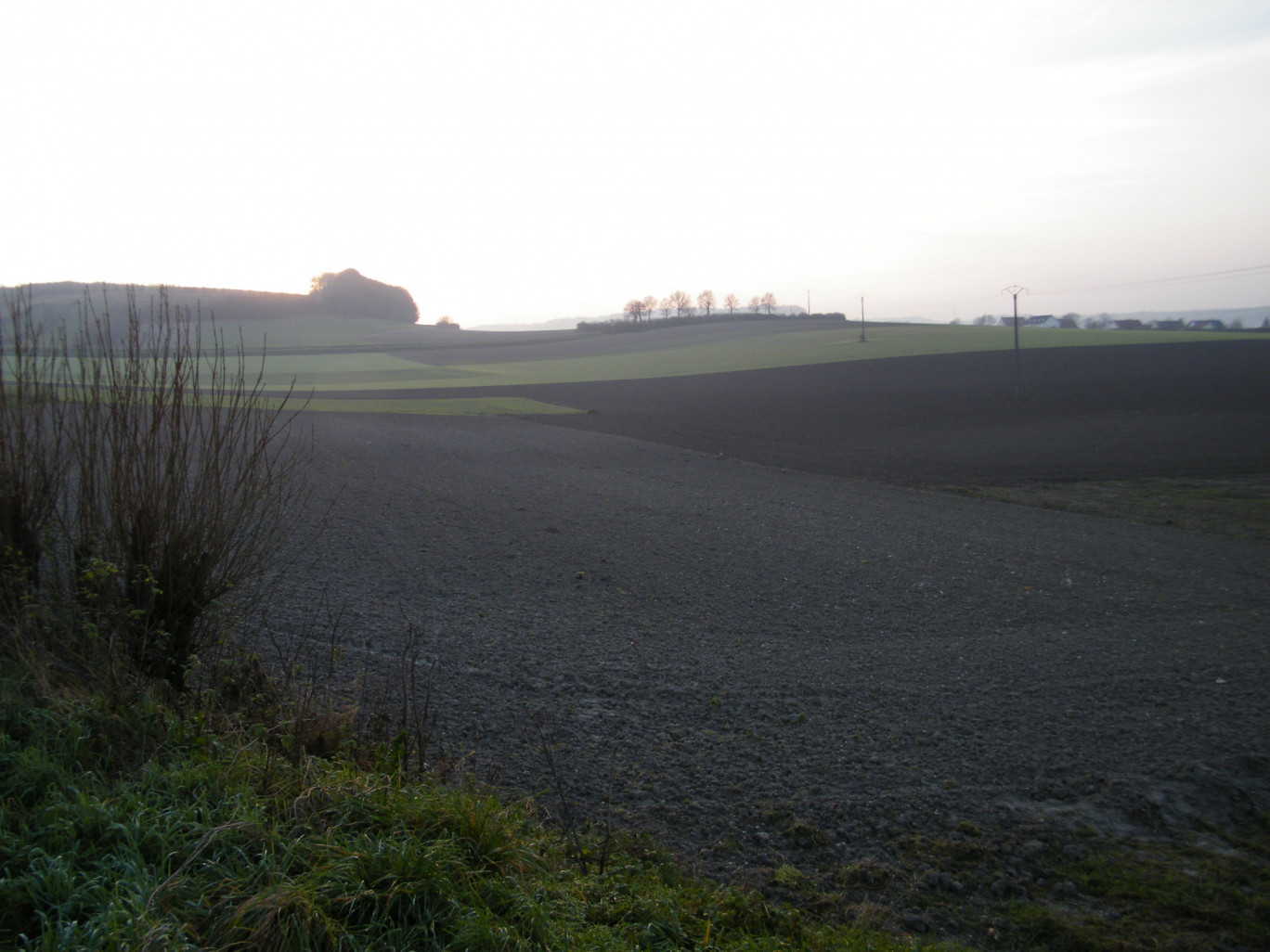 « Les menaces sur le secteur agricoles s'accumulent ».