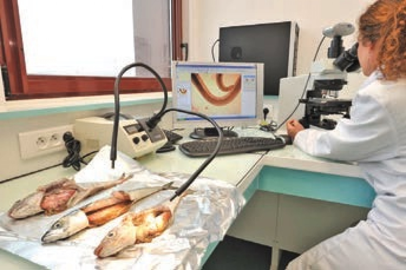 L'ANSES de Boulogne est un laboratoire national de référence dans plusieurs axes de recherche sur le poisson.