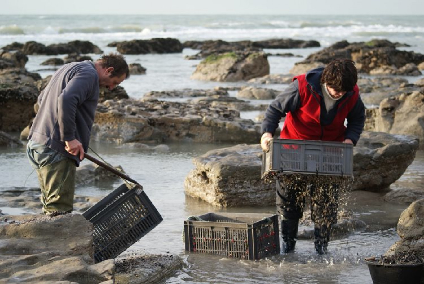 « Journée off des dirigeants avec les pêcheurs de moules ».