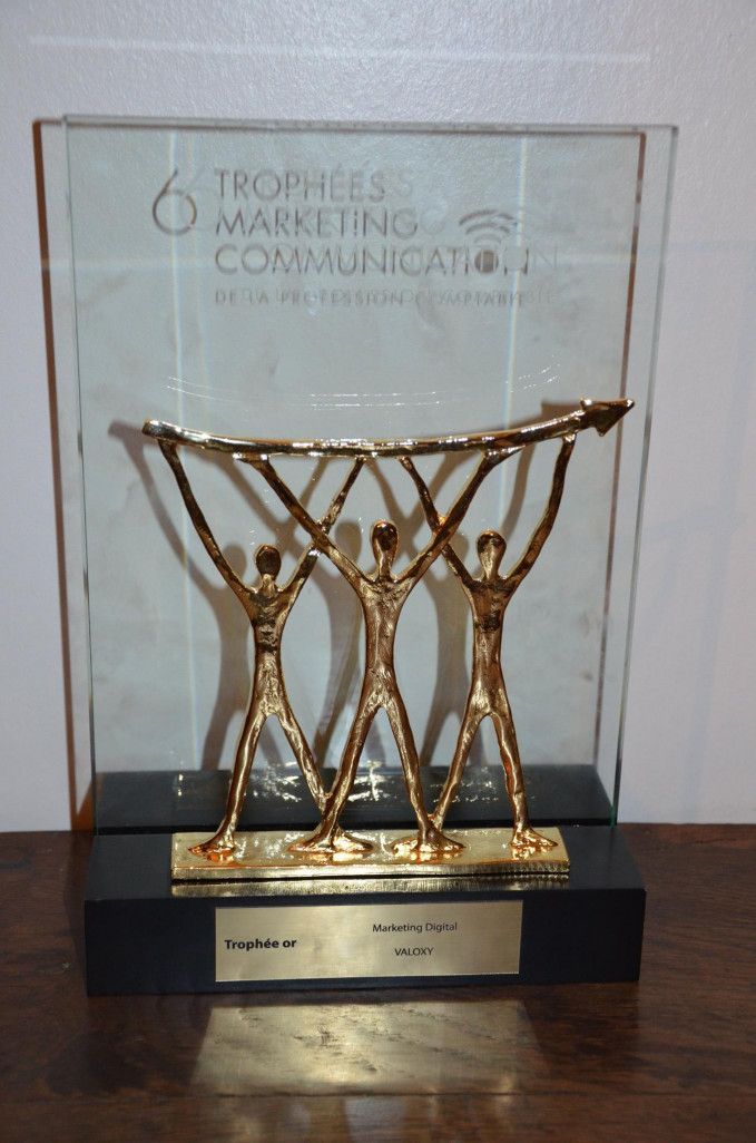 En 2014, Valoxy a remporté avec son positionnement web « nouvelle génération » le trophée d'or en marketing digital pour la 6ème cérémonie des Trophées Marketing communication de la profession comptable. 