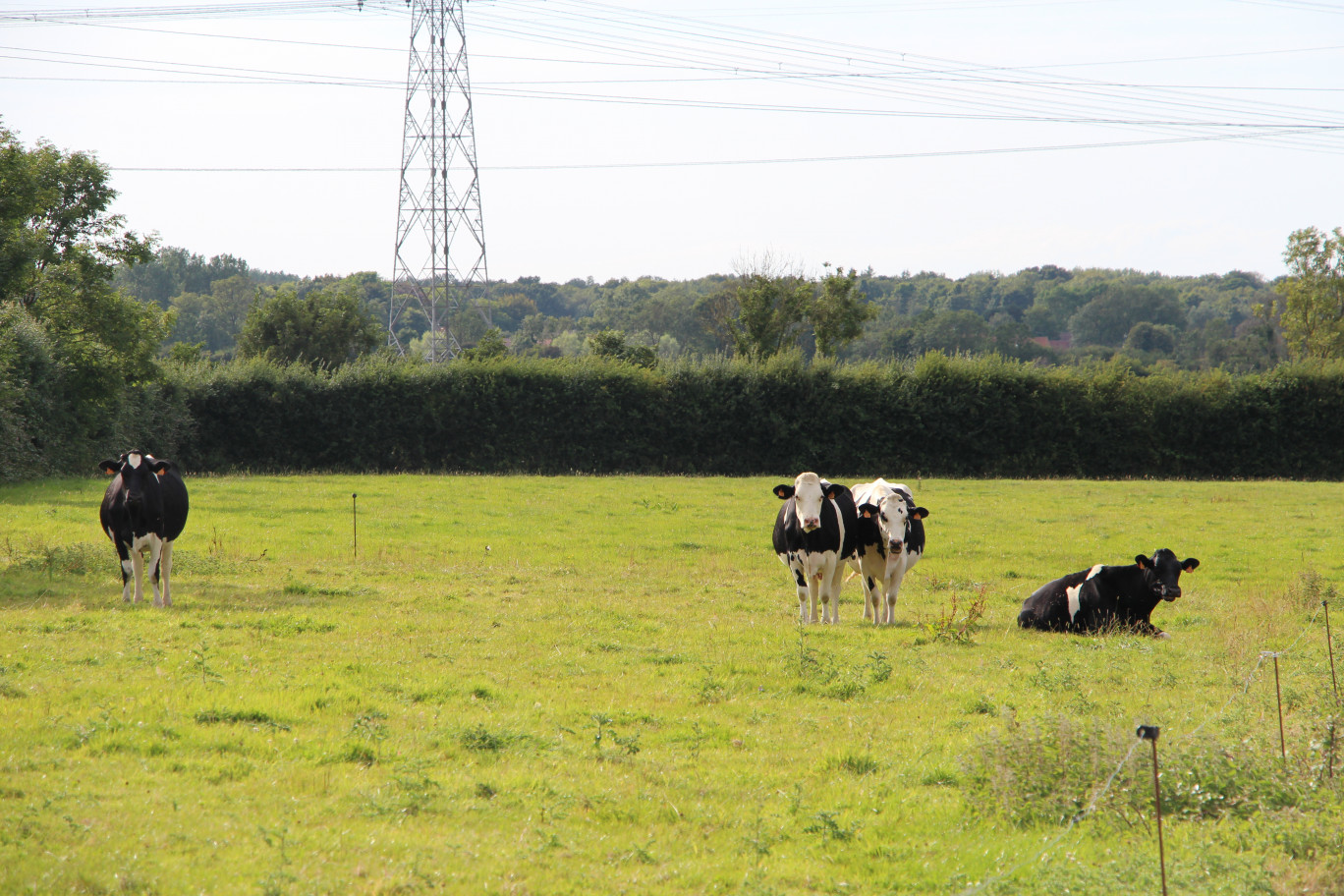 L'agriculture attend mieux