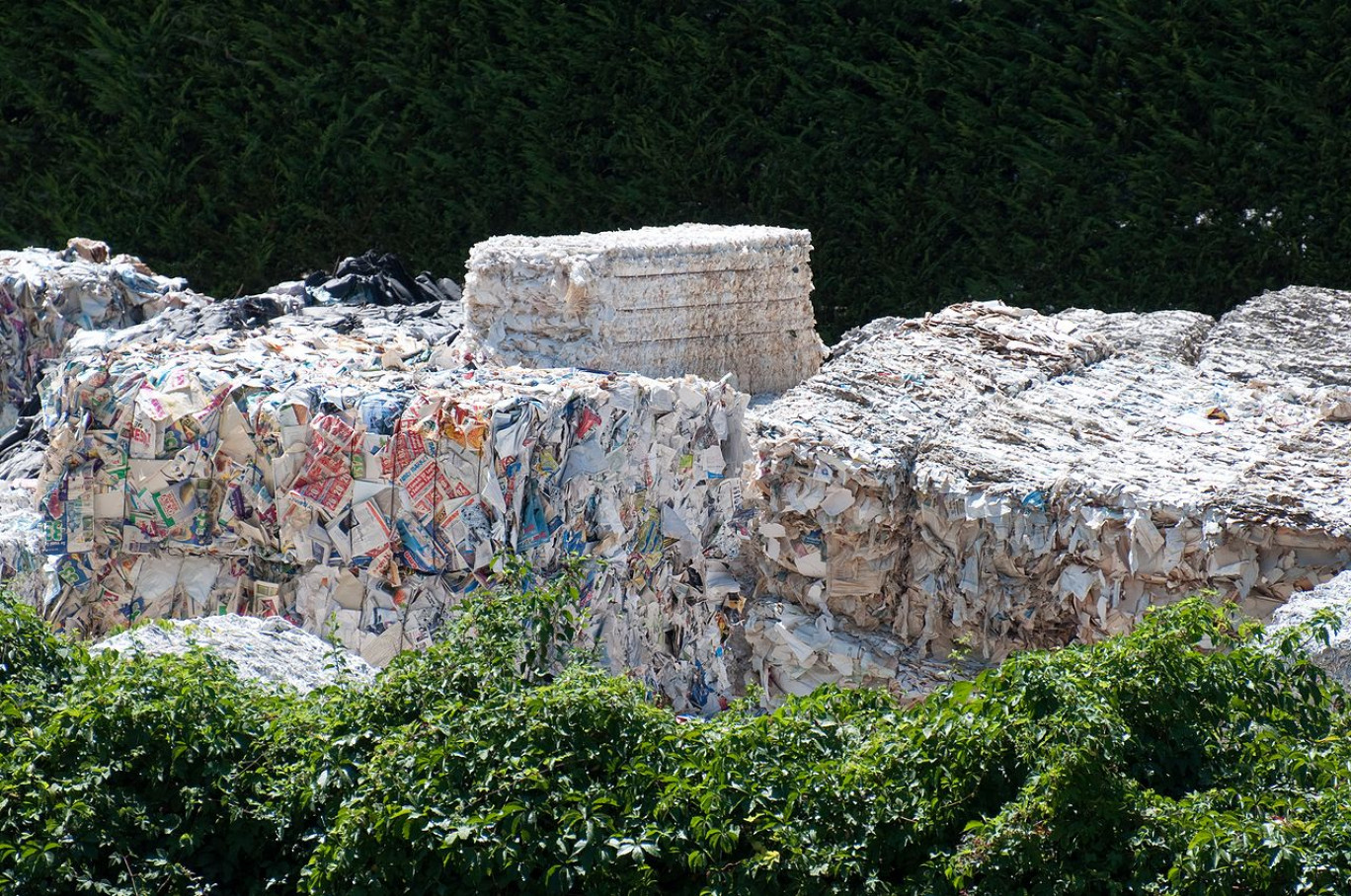 Tous les papiers se recyclent, et ce, juqsu'à cinq fois rappelle l'association, qui milite pour que les Français utilisent davantage de papier recyclé.