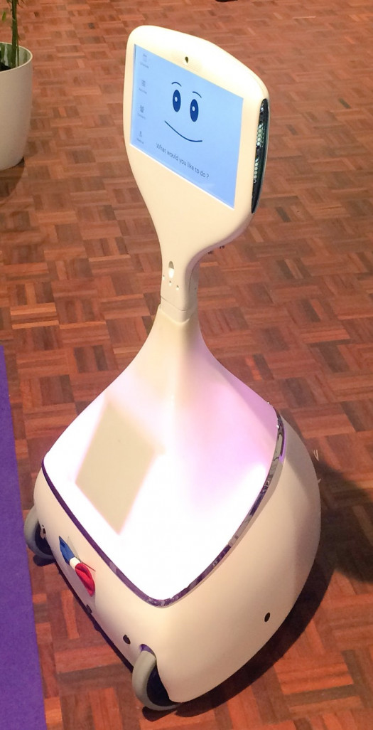 L'entreprise roubaisienne Yumii a été lauréate du CES 2017 Innovation Awards dans la catégorie Tech For a Better World, pour son robot compagnon, Cutii