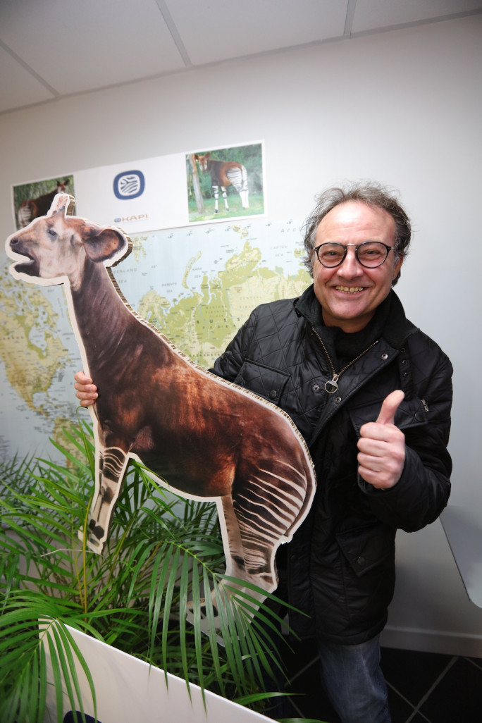 L’Okapi est un animal surprenant, c’est également, l’effigie, la marque de l’entreprise que Daniel Lenglen a créée en Octobre dernier.