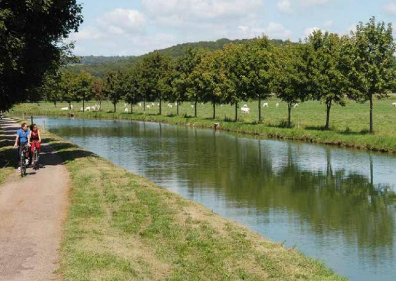 La France est devenue la deuxième destination mondiale du tourisme à vélo. Environ 12 000 km de véloroutes et voies vertes sont aménagées avec de véritables itinéraires, comme le long du canal de Bourgogne.