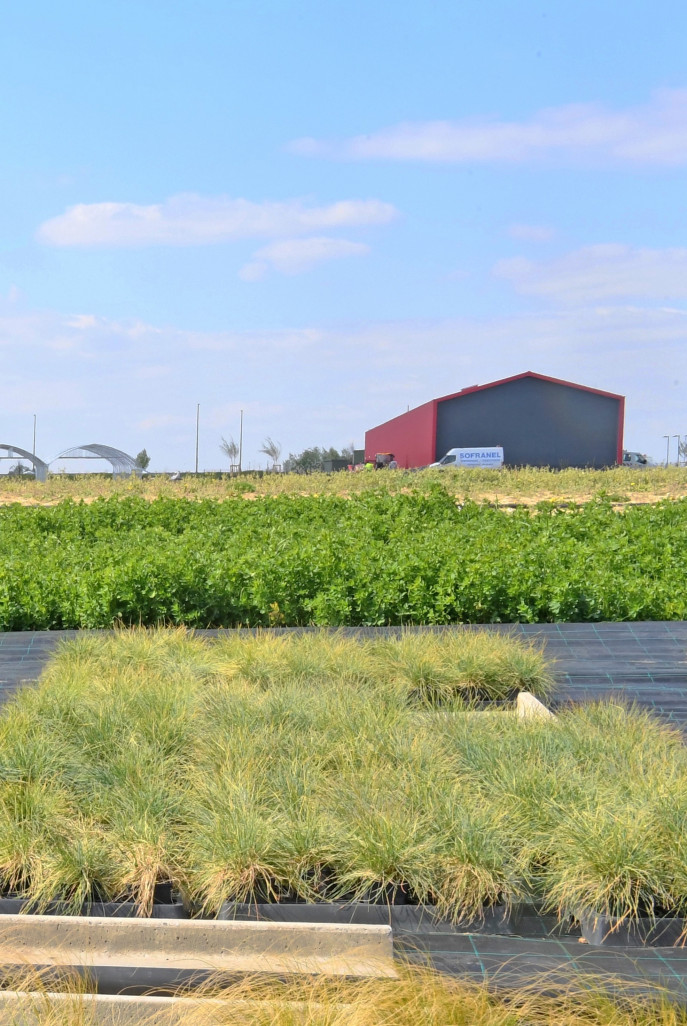 Zone maraîchère et horticole de Wavrin