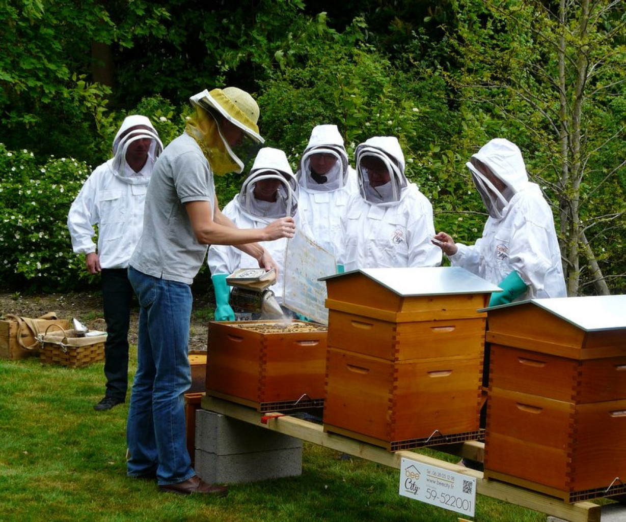 Sylvain Breuvart, créateur de BeeCity, accompagné par Initiative Lille Métropole Nord, propose d’installer des ruches en entreprise.