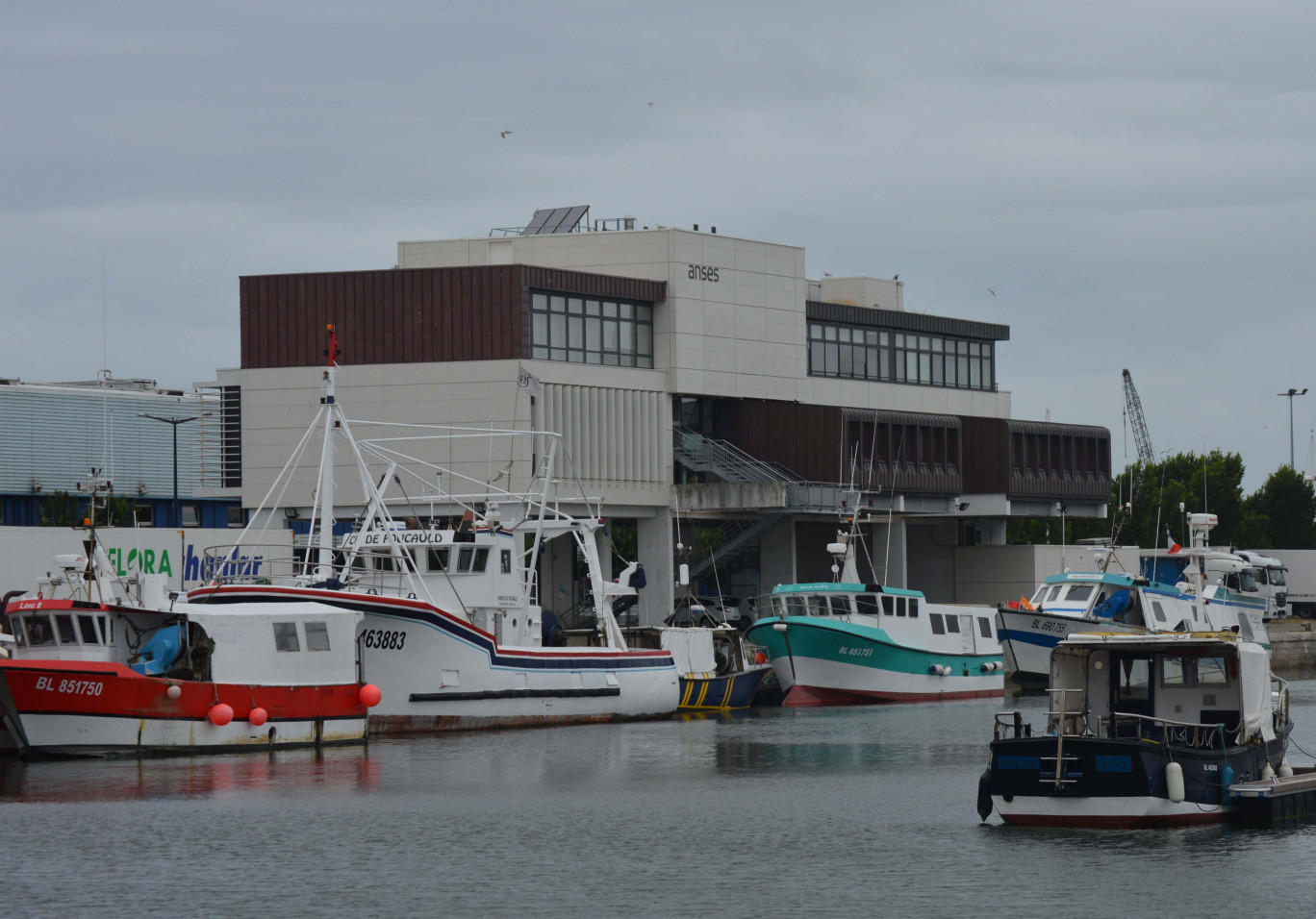 Le laboratoire de Boulogne est implanté sur le quai, directement en lien avec l’industrie de la pêche.