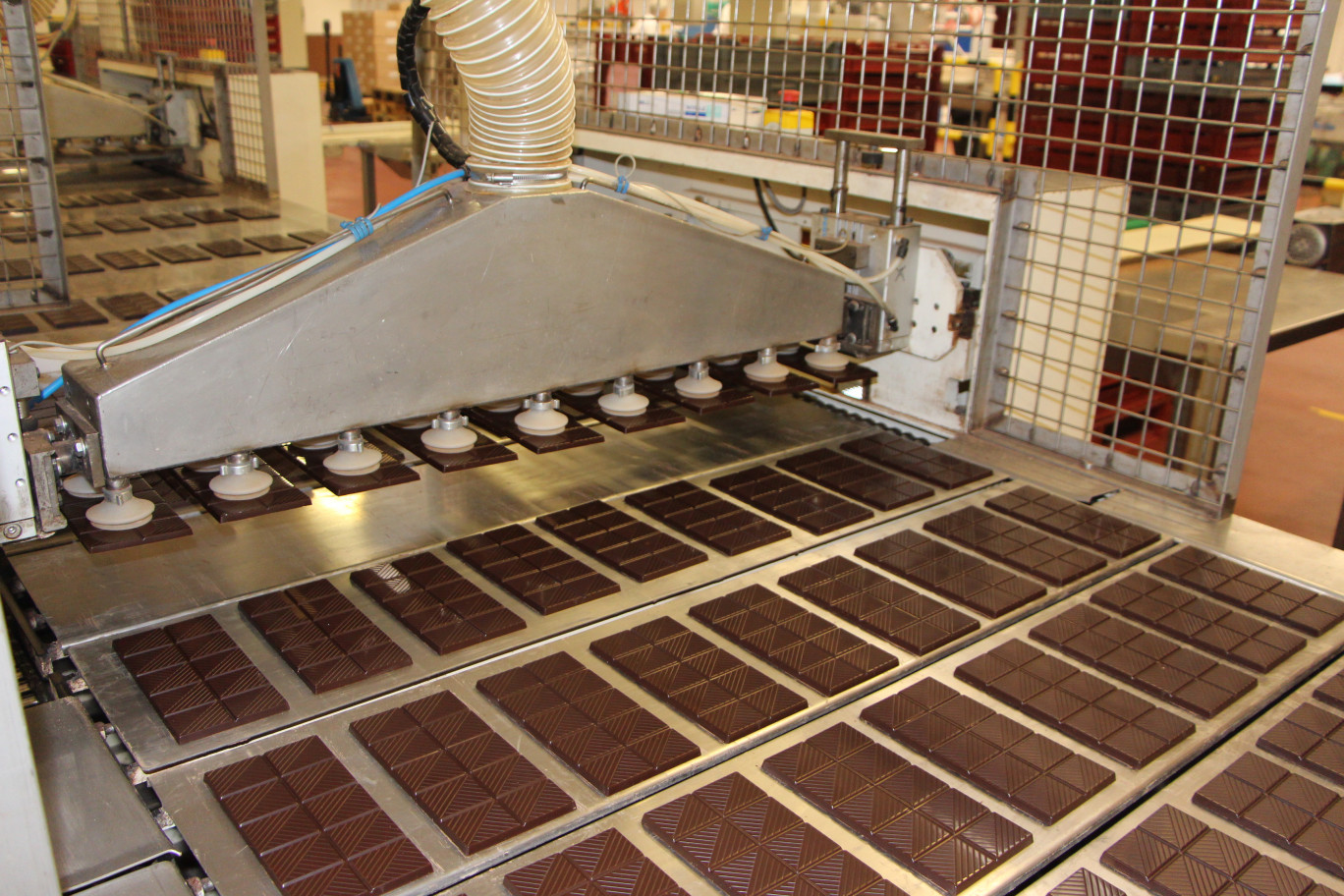 La chocolaterie installée à Bourbourg appartient au groupe français Cémoi. L'entreprise a mis en place deux programmes scientifiques de recherche fondamentale, l'une sur les arômes et l'impact des terroirs, l'autre relatif aux millésimes sur l'aromatique du cacao.