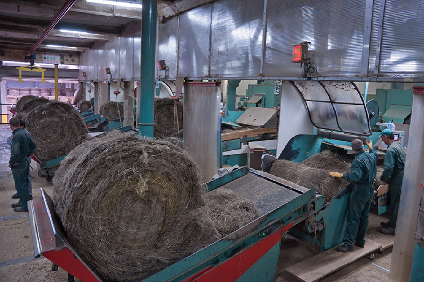 Dans les deux usines de teillage de Van Robaeys Frères, 9 000 tonnes de filasse sont produites chaque année. La grande majorité est ensuite envoyée dans les filatures asiatiques.
