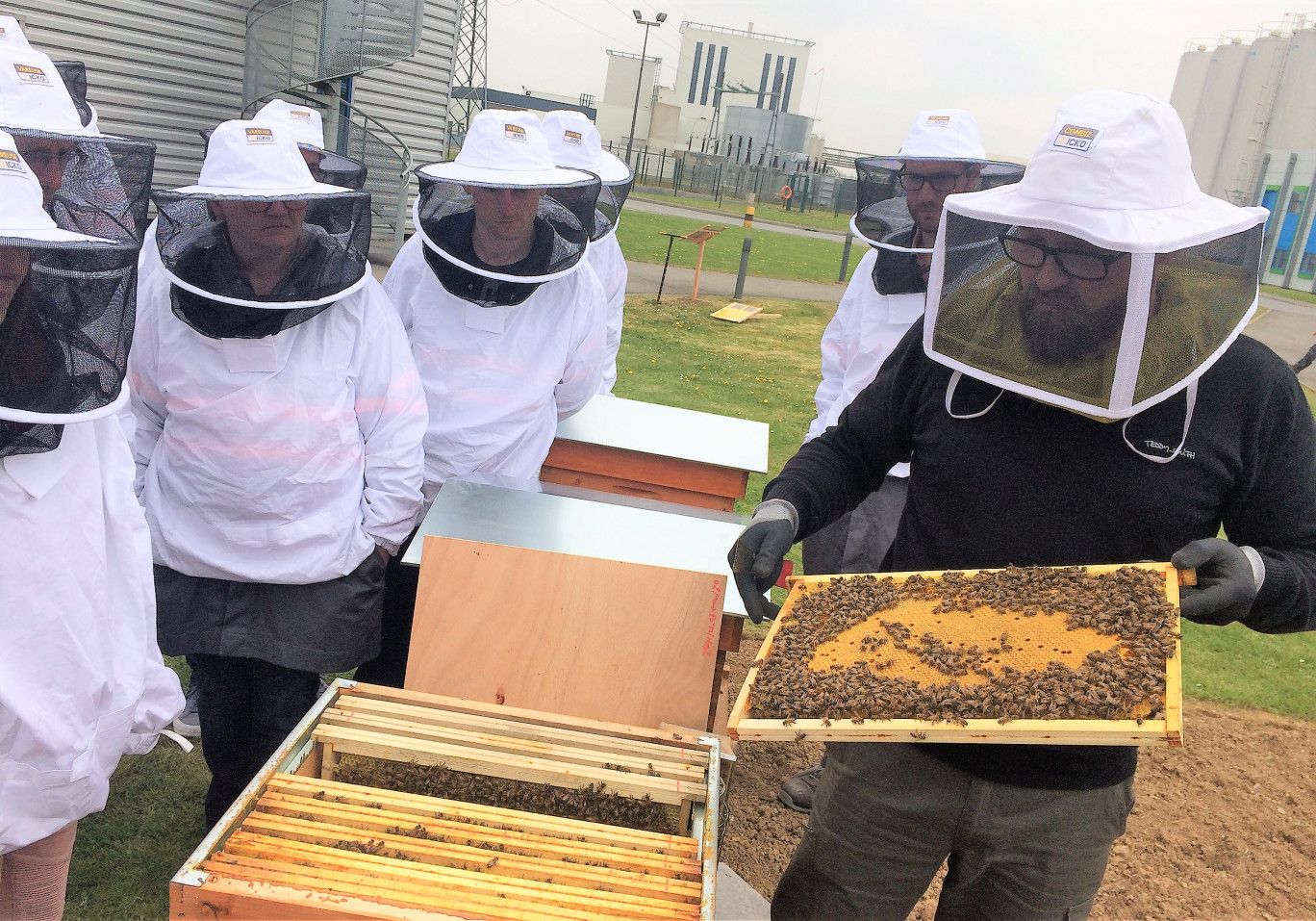 Beecity est spécialiste de l’installation de ruches en entreprise et collectivité locale.