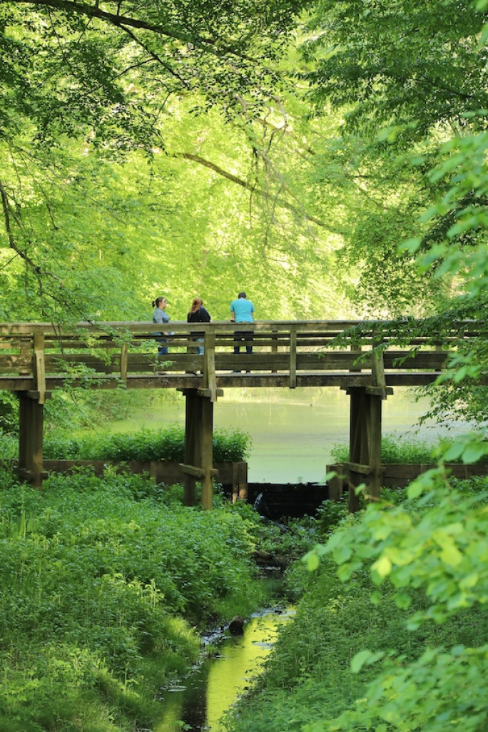 L’Espace naturel du parc départemental de l’Abbaye de Liessies. © Philippe Houzé - Département du Nord