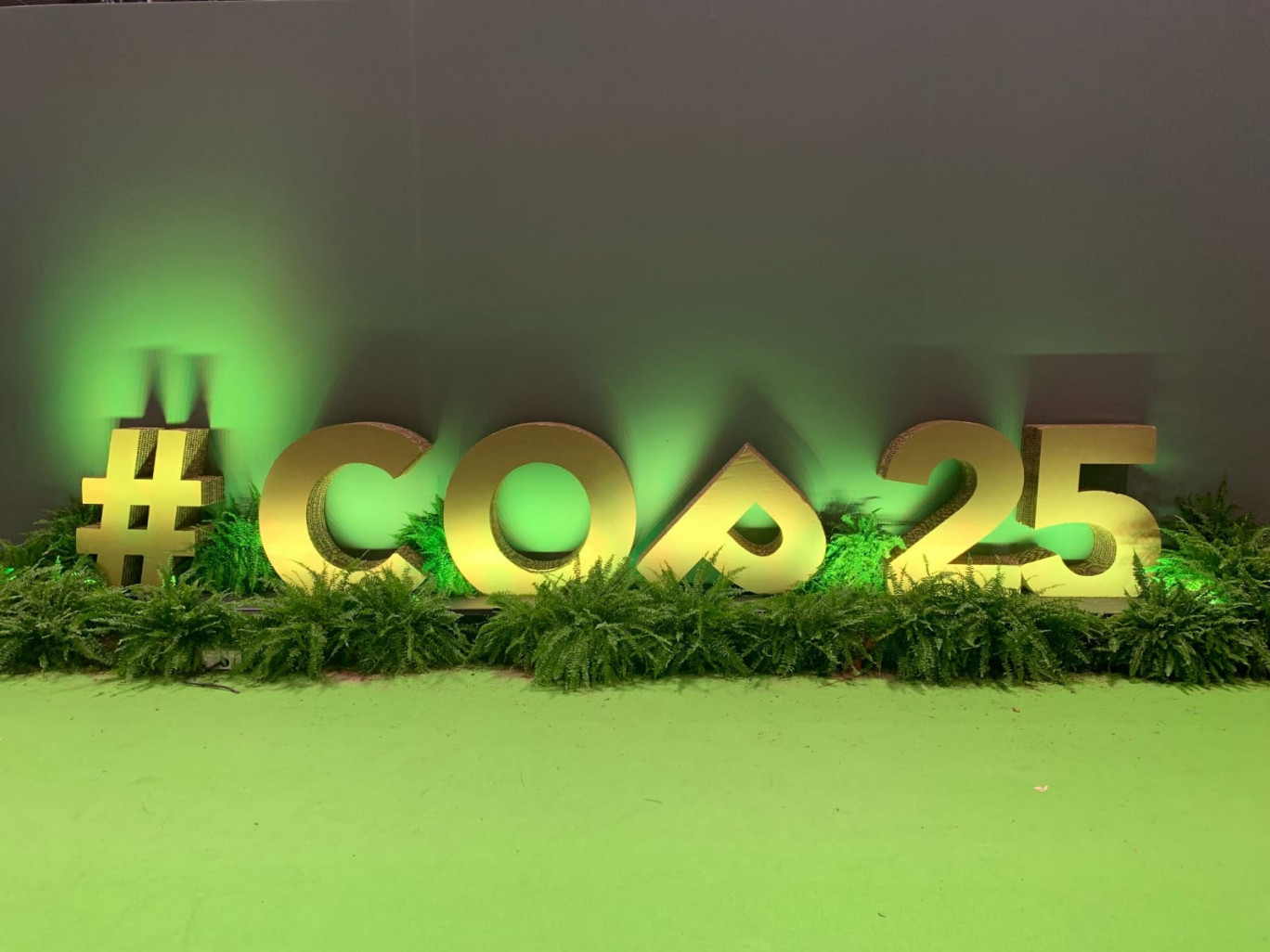 Une COP25 paradoxale