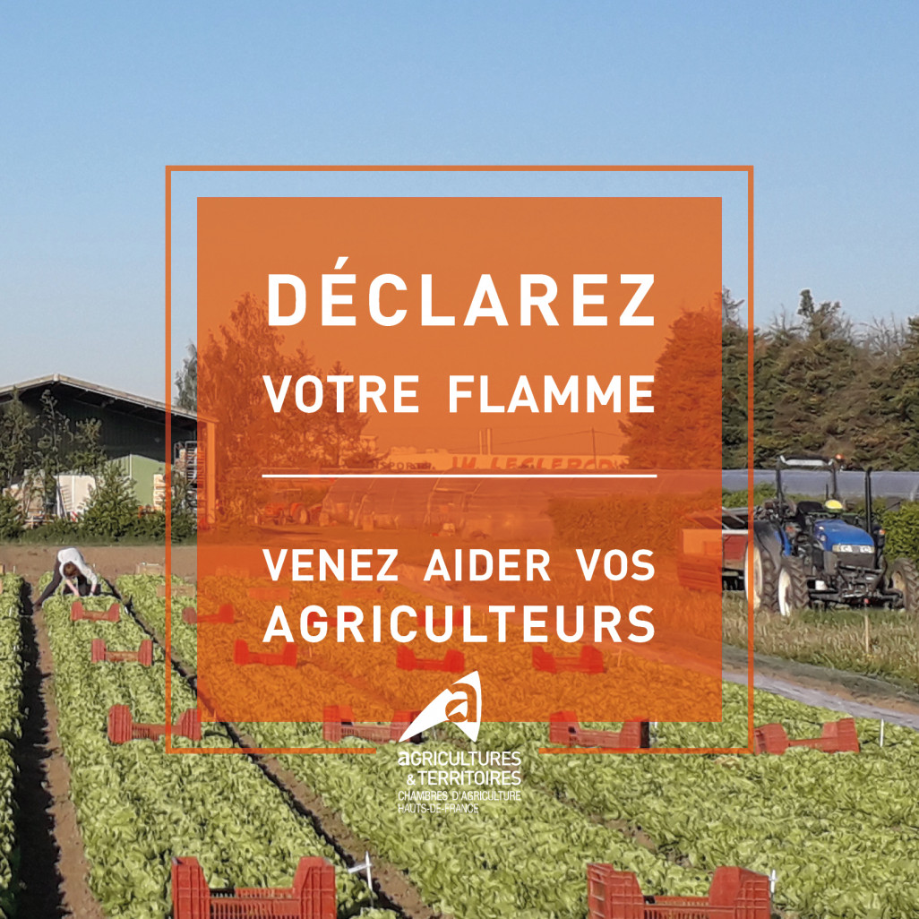 Les Chambres d’agriculture des Hauts-de-France solidaires et mobilisés