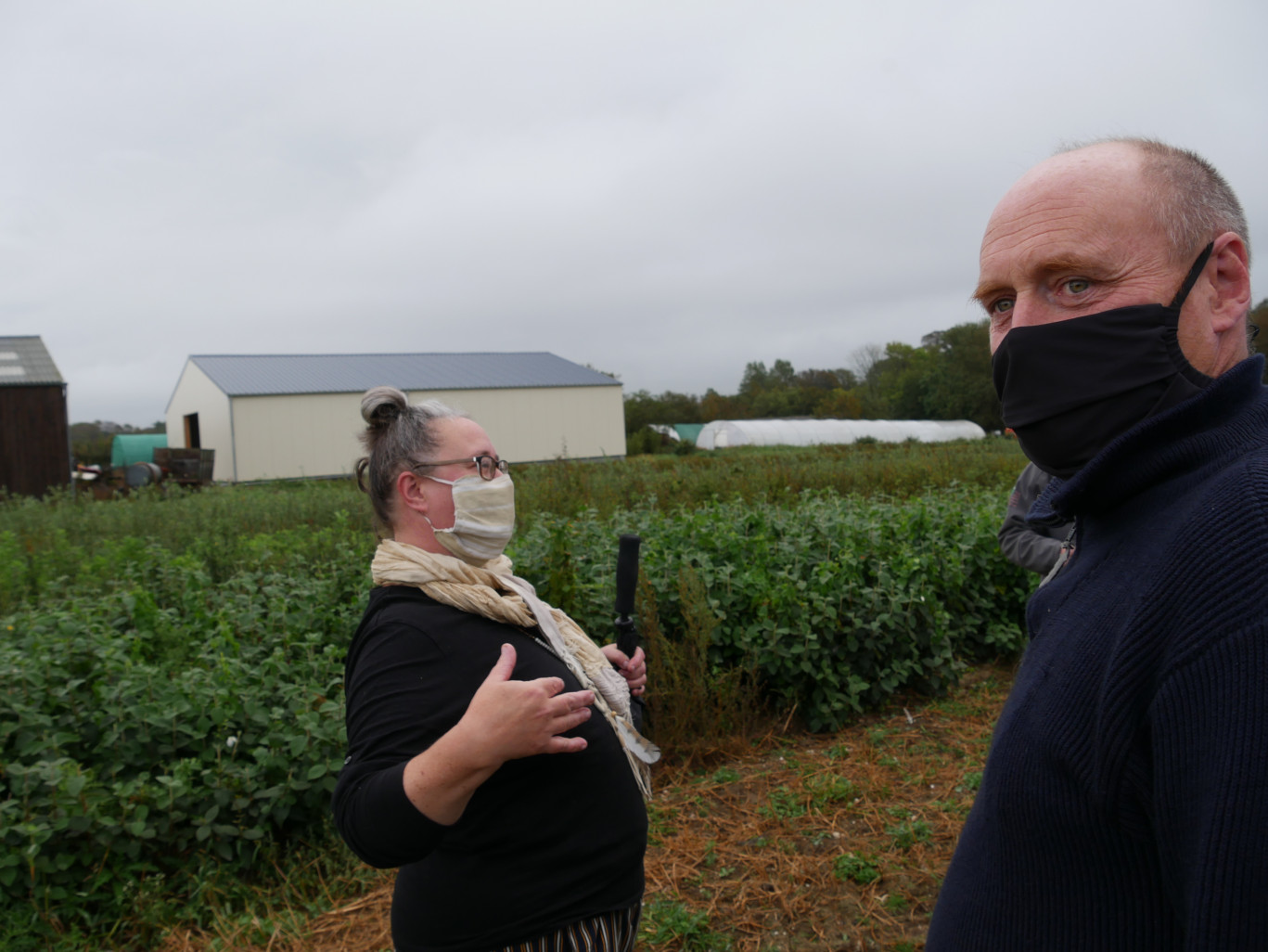 Stéphane Jongleux, pépinièriste à Wimille, premier chantier de la société ECO. (©Aletheia Press / MR)