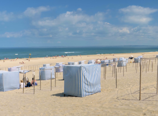 Les trésors du Médoc Atlantique