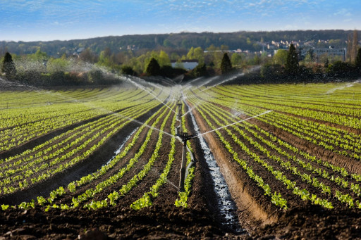 L'agriculture face aux défis croisés du XXIe siècle