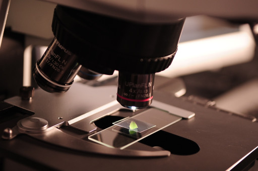 La biotech lilloise HCS Pharma récompensée à Montpellier