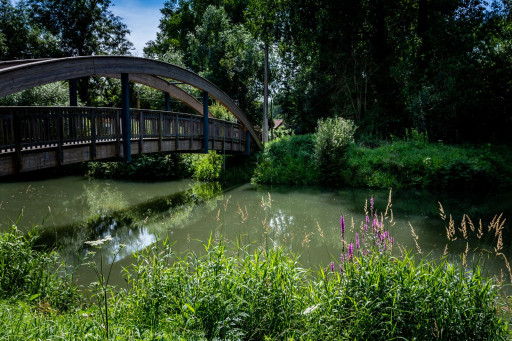 Agence de l’eau Artois-Picardie : plus de 167 millions d'euros d'aides allouées en 2023
