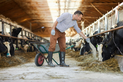Les principales dispositions du projet de loi d’orientation pour l’agriculture