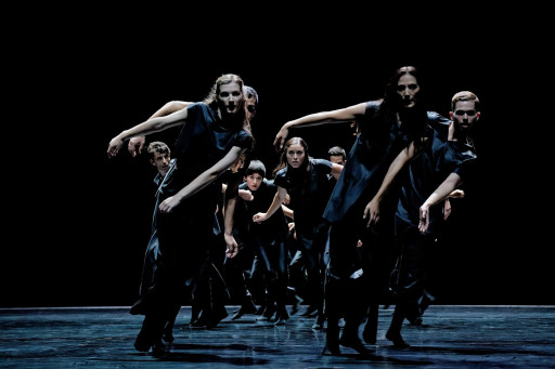 «Mycélium» à l'Opéra de Lille