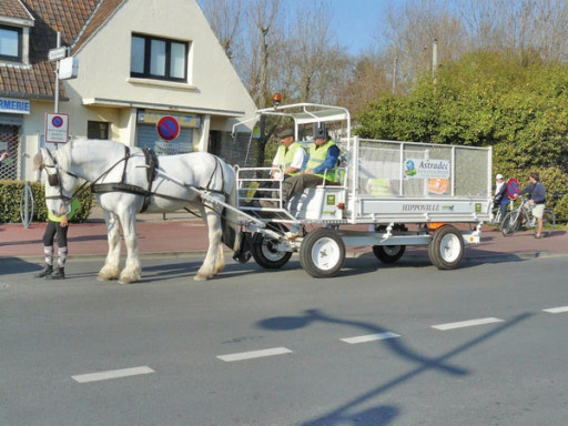 Le Village du cheval met à l’honneurle boulonnais et le trait du Nord