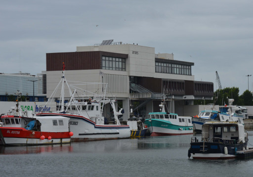 L’Anses consolide son ancrage au port de Boulogne
