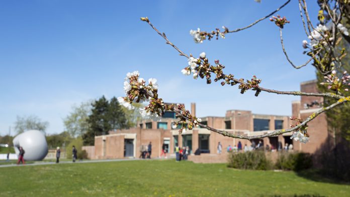LaM © N. Dewitte-LaM